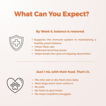 Dermiflora™ – Helps control yeast and reduce itching from the root