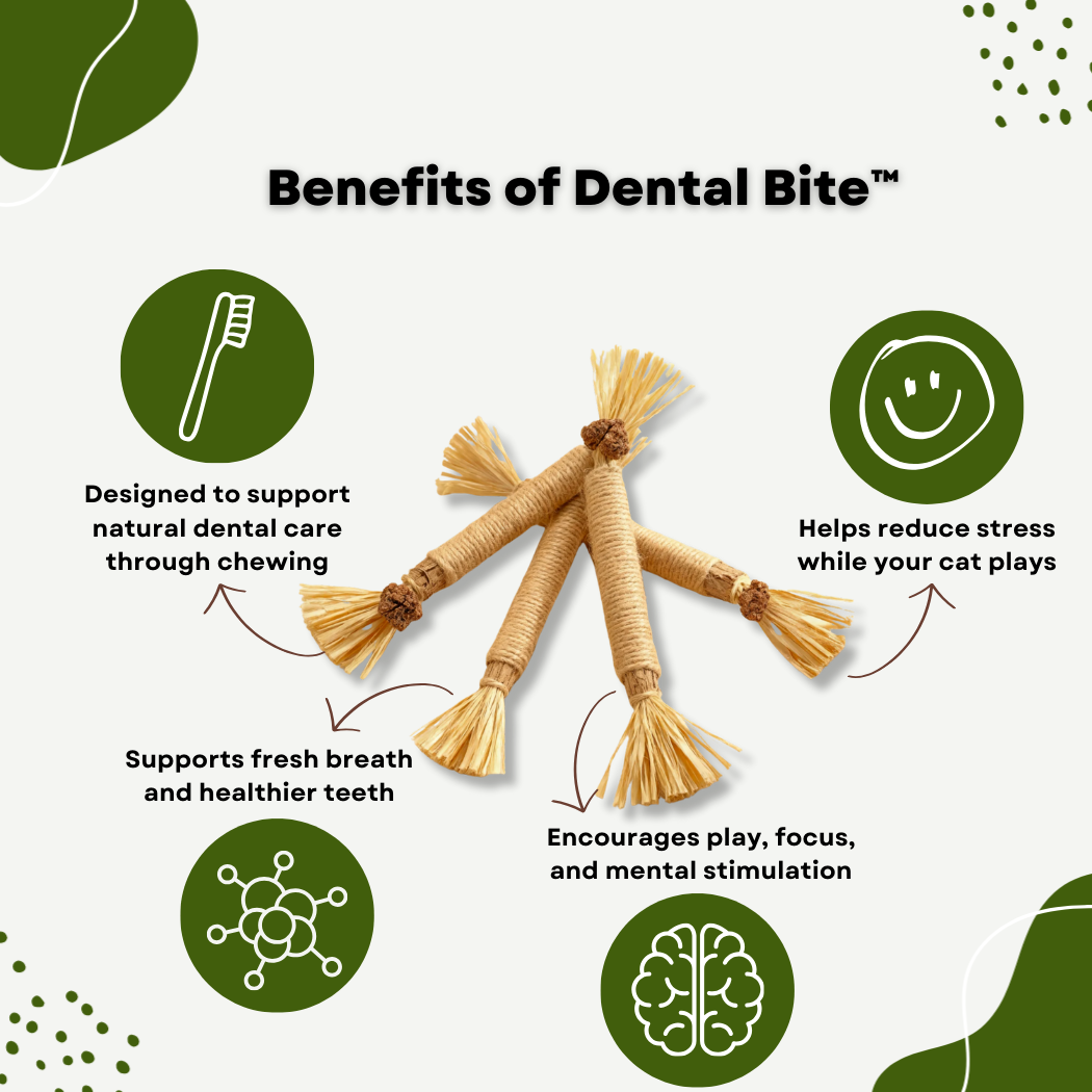 Dental Bite™ – Natural Dental Chew Toy for Cats