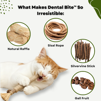 Dental Bite™ – Natural Dental Chew Toy for Cats