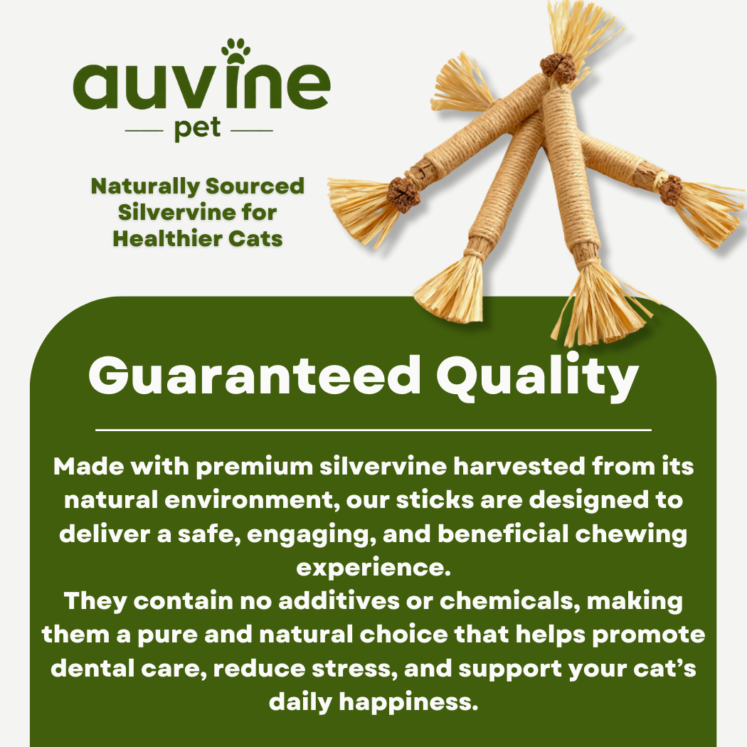 Dental Bite™ – Natural Dental Chew Toy for Cats