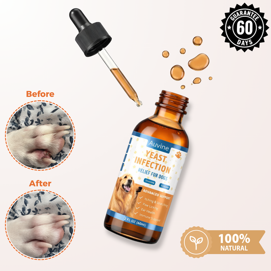 Dermiflora™ – Helps control yeast and reduce itching from the root