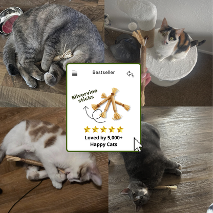 Dental Bite™ – Natural Dental Chew Toy for Cats