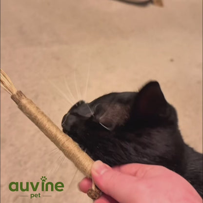 Dental Bite™ – Natural Dental Chew Toy for Cats